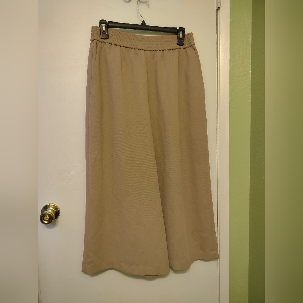 Wilfred Tan Neutral Women Tuck Cropped Stretchy Wide Leg Polyester Cupro Pants M